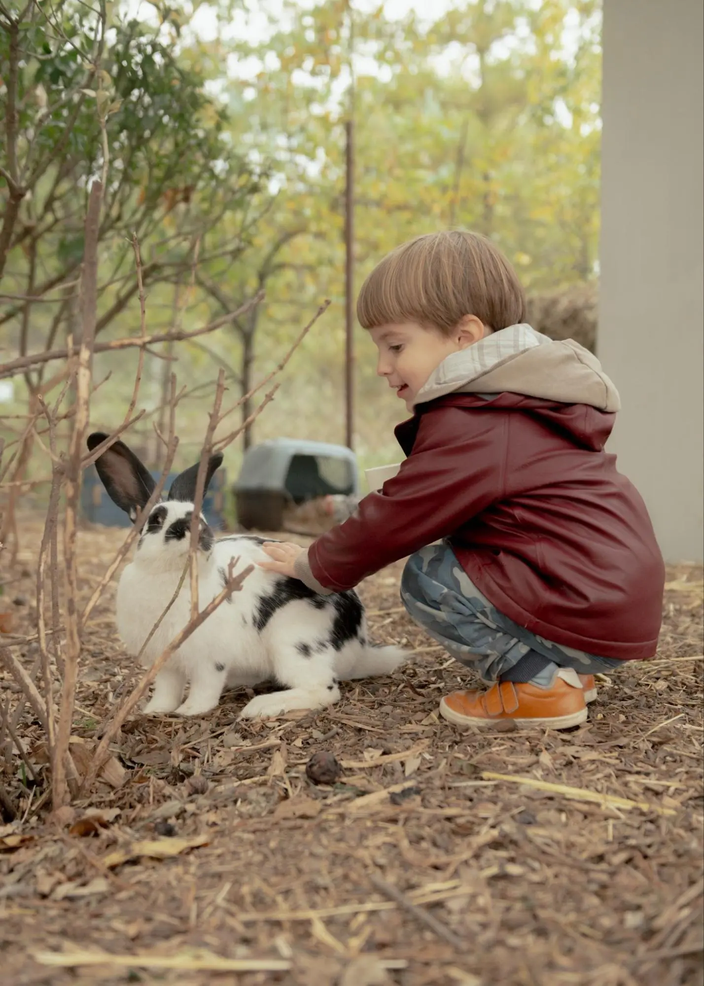 IZI Green Kindergarten / School Program